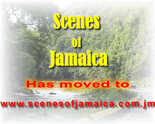 Scenes of Jamaica, coming soon